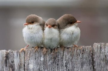 ��ô���ŷ��Ƅ����M����Ч���B